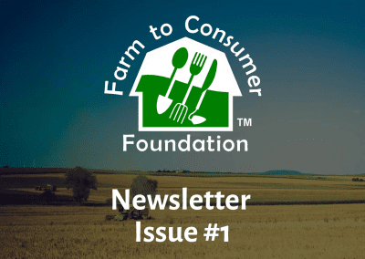 Newsletter — Issue One