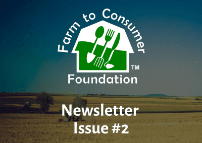Newsletter — Issue Two