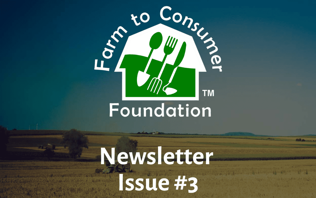 Newsletter — Issue Three